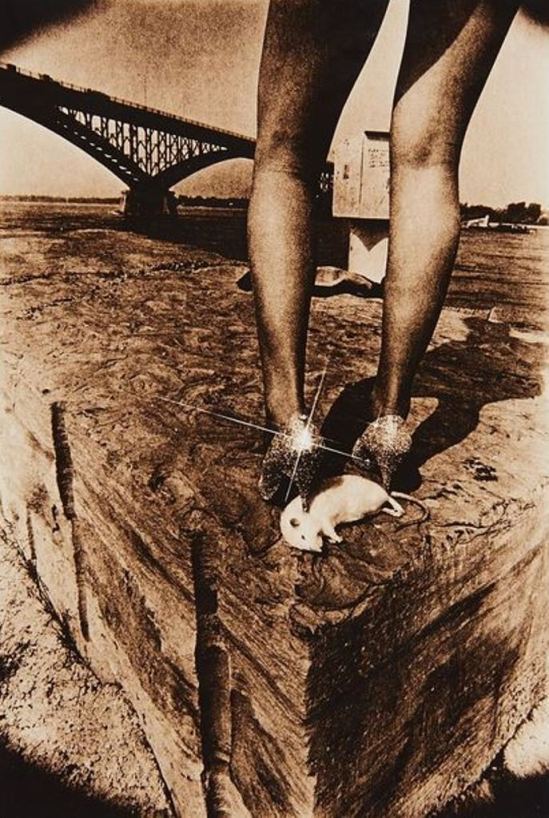 Leslie Robert Krims (dit Les Krims). Hommage to the Crosstar Filter Photograph 1971. Via lemertz