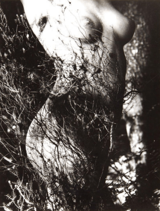 Lucien Clergue. Genèse 1934. Via yannlemouel
