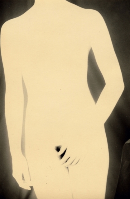 Masao Yamamoto. Untitled (installation), 2005