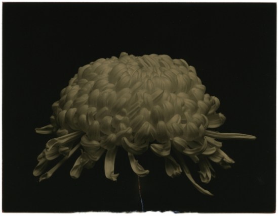 Masao Yamamoto1. From a box of ku. Via yamatomasao