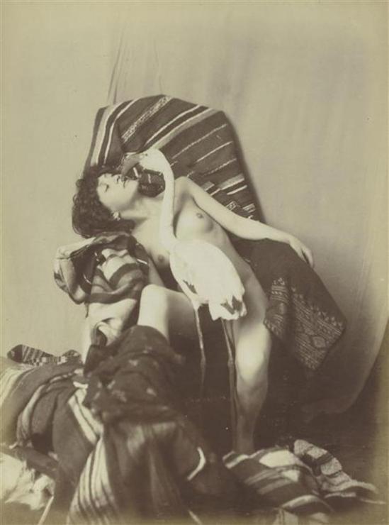 Photographe anonyme. Jeune fille nue assise, et un flamand rose vers 1870. Via rmn