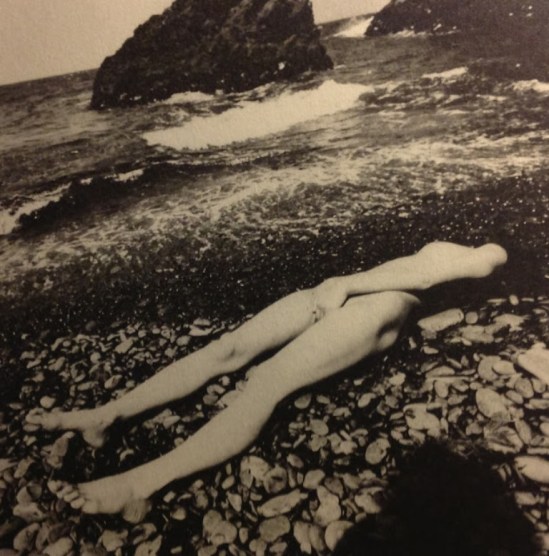 Shunji Dodo. Via lenterasgado