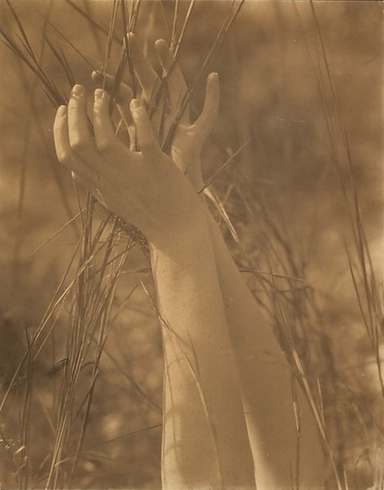 Edward Steichen. Dana's hands and grasses. Long Island, New-York 1923. Via metmuseum