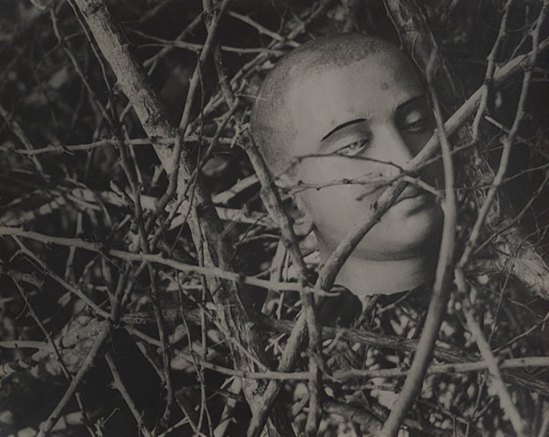 Lionel Wendt. Untitled (Buddha head among branches) 1939. Via nga.gov