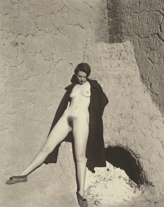 Edward Weston. Plate 60, nude 1937. Via ebay