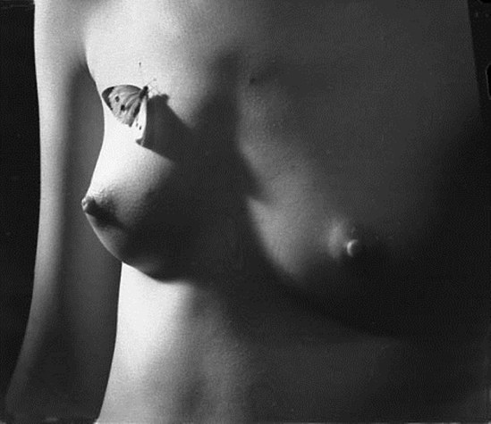 Marcel G. Lefrancq. Eglogue emblématique 1967. Via lefrancq.be