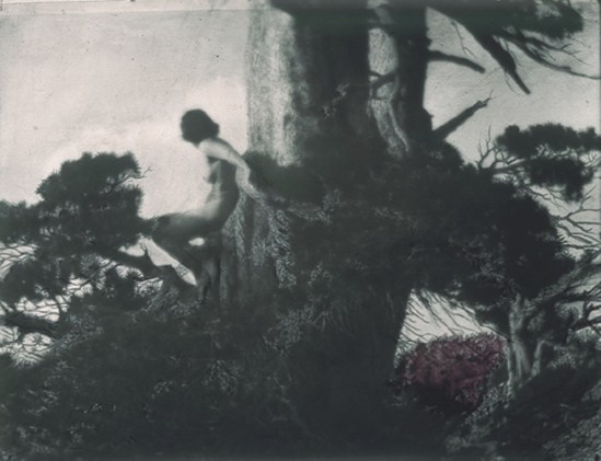 Anne Brigman. The Pine Sprite 1911. Via geh