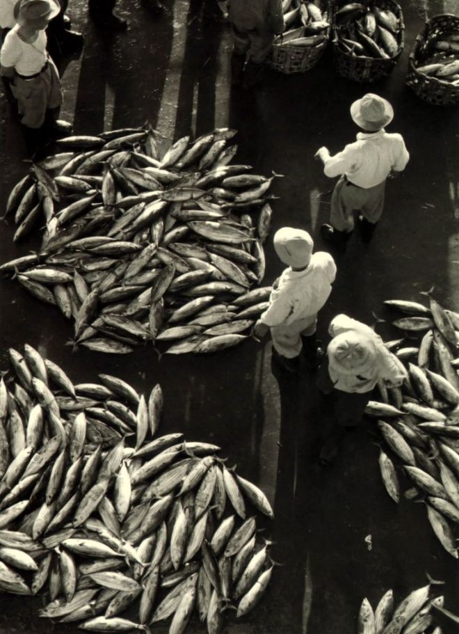 Kansuke Yamamoto. Yaizu（焼津 ) 1954©Toshio Yamamoto