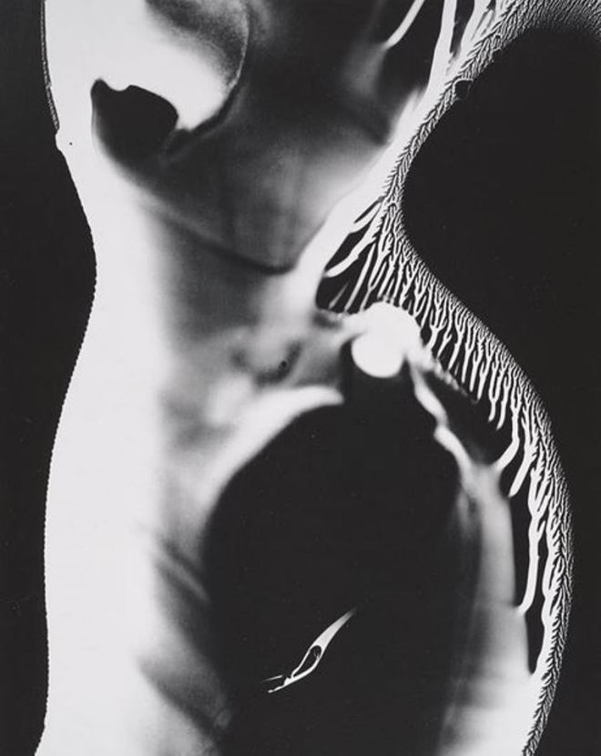 Wynn Bullock. Nude photogram 1970.Via ccpemuseum