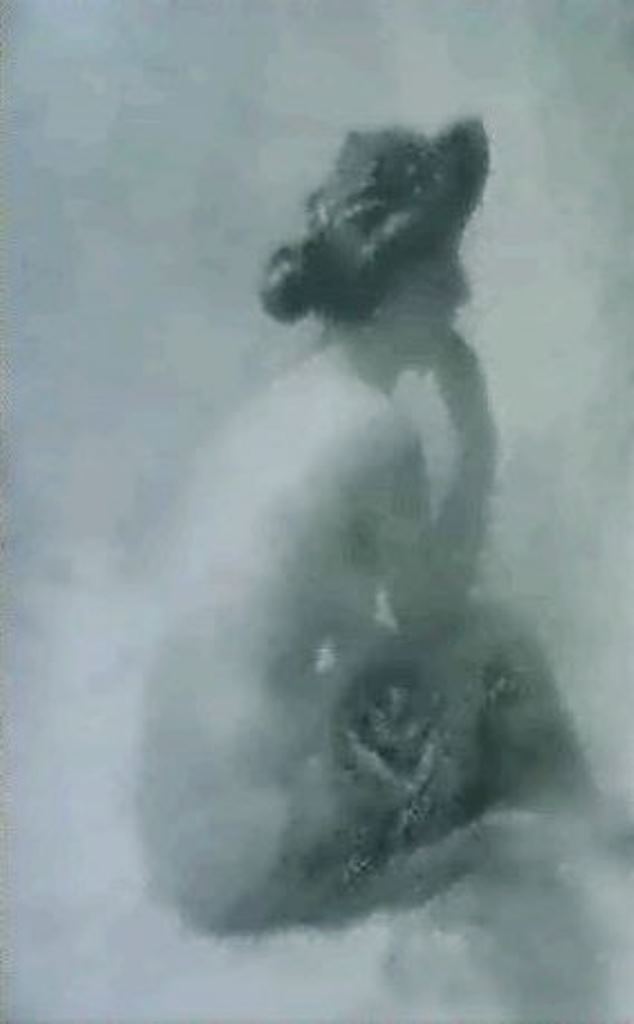 Robert Demachy. Nu assis de dos 1905. Via artnet