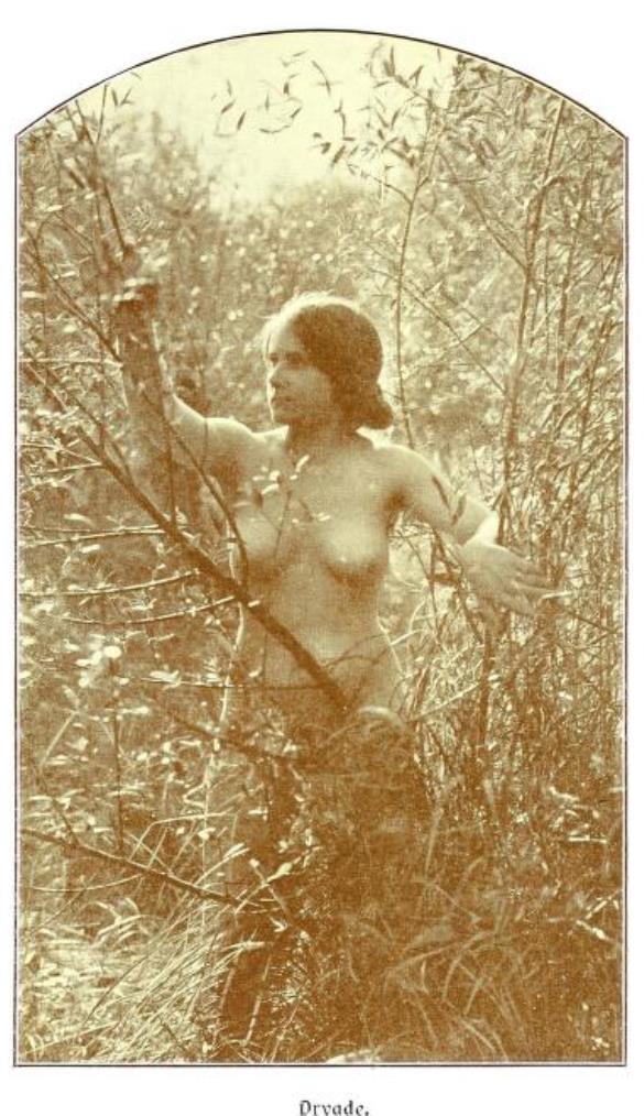 From the book Weibliche Schönheit. Kritische Betrachtungen über die Darstellung des Nackten in Malerei und Photographie2. Dr. B