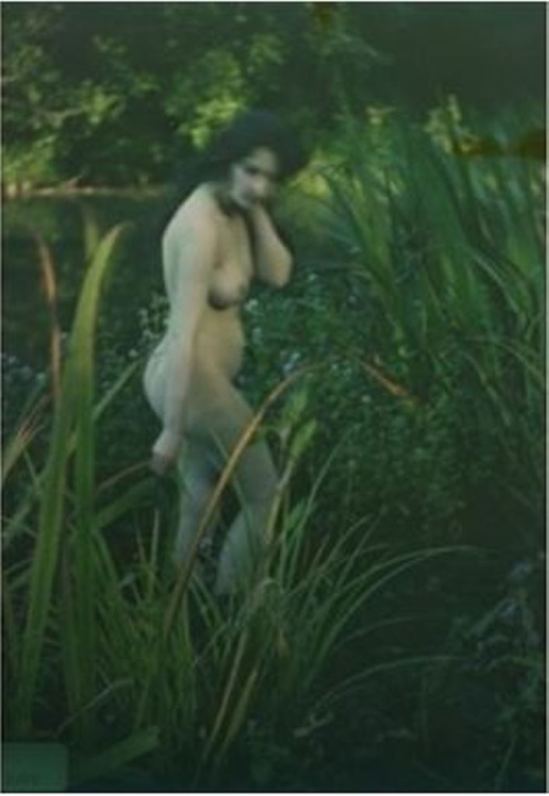 Louis J. Steele. Nu aux roseaux 1908. Autochrome. Via artnet