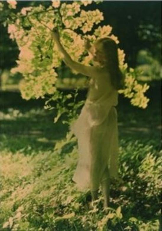 Louis J. Steele. The sunlit branch 1908. Autochrome. Via artnet