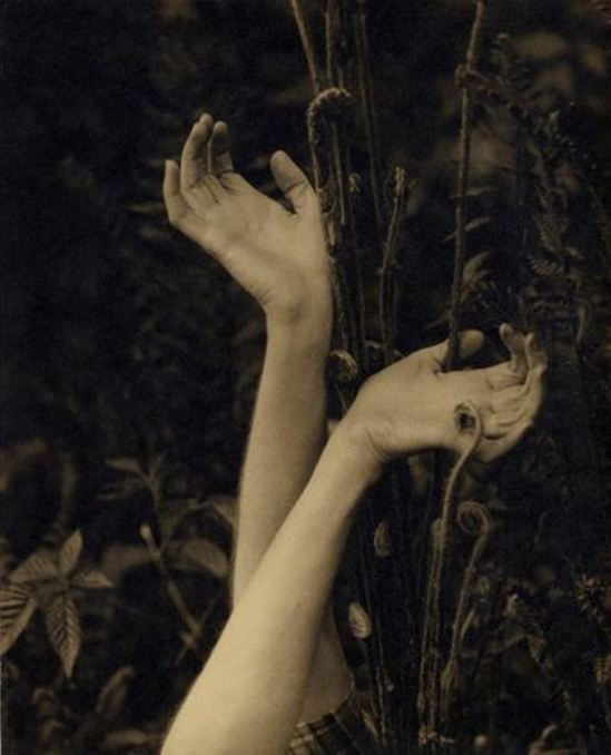 Edward Steichen. Dana's Hands 1923. Via eastman museum