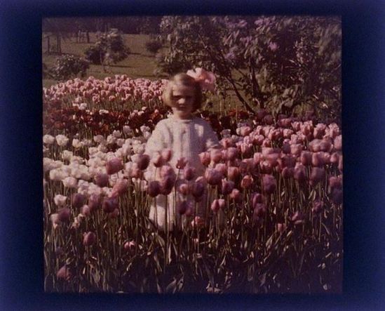 charles-c-zoller-child-in-tulips-1925-autochrome-via-eastmanuseum
