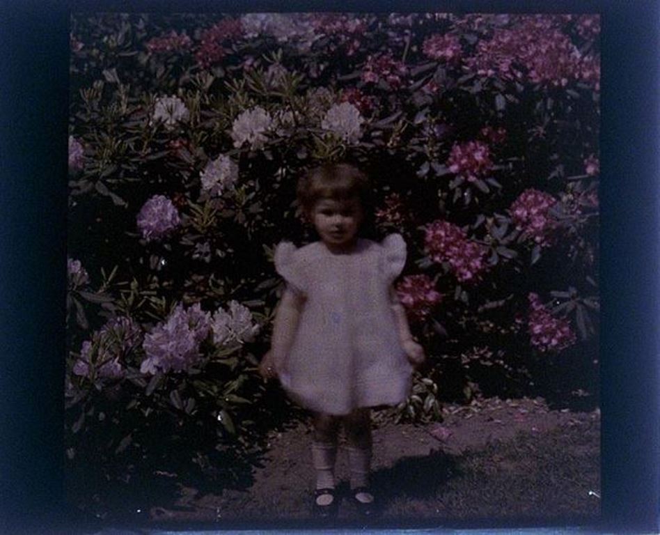 charles-c-zoller-rhododendron-with-girl-1931-autochrome-via-eastmanuseum