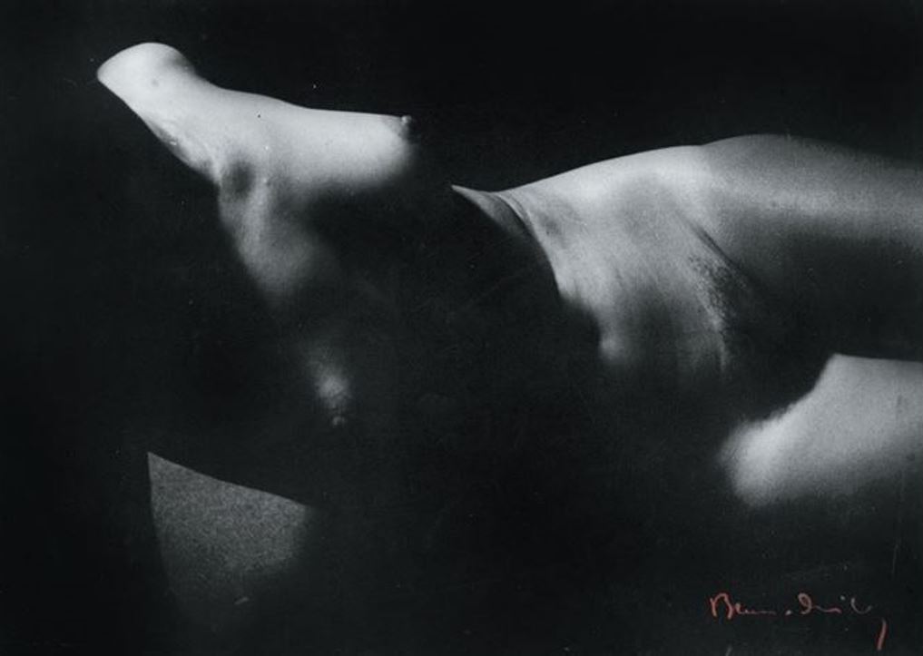 Blanc &amp; Demilly4. Nu 1950. Via artnet