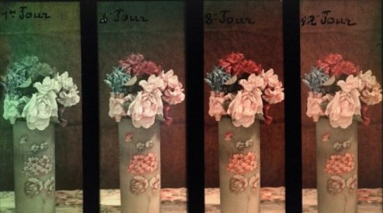 Charles Adrien. Essai de lumière sur un bouquet de fleurs. Autochrome ®SFP