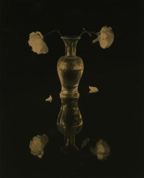 ®Masao Yamamoto. from a box of ku 1998