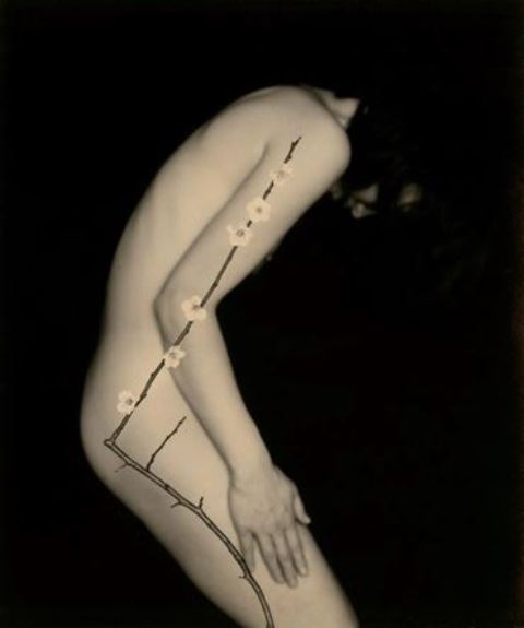 ®Masao Yamamoto. Nakazora 10