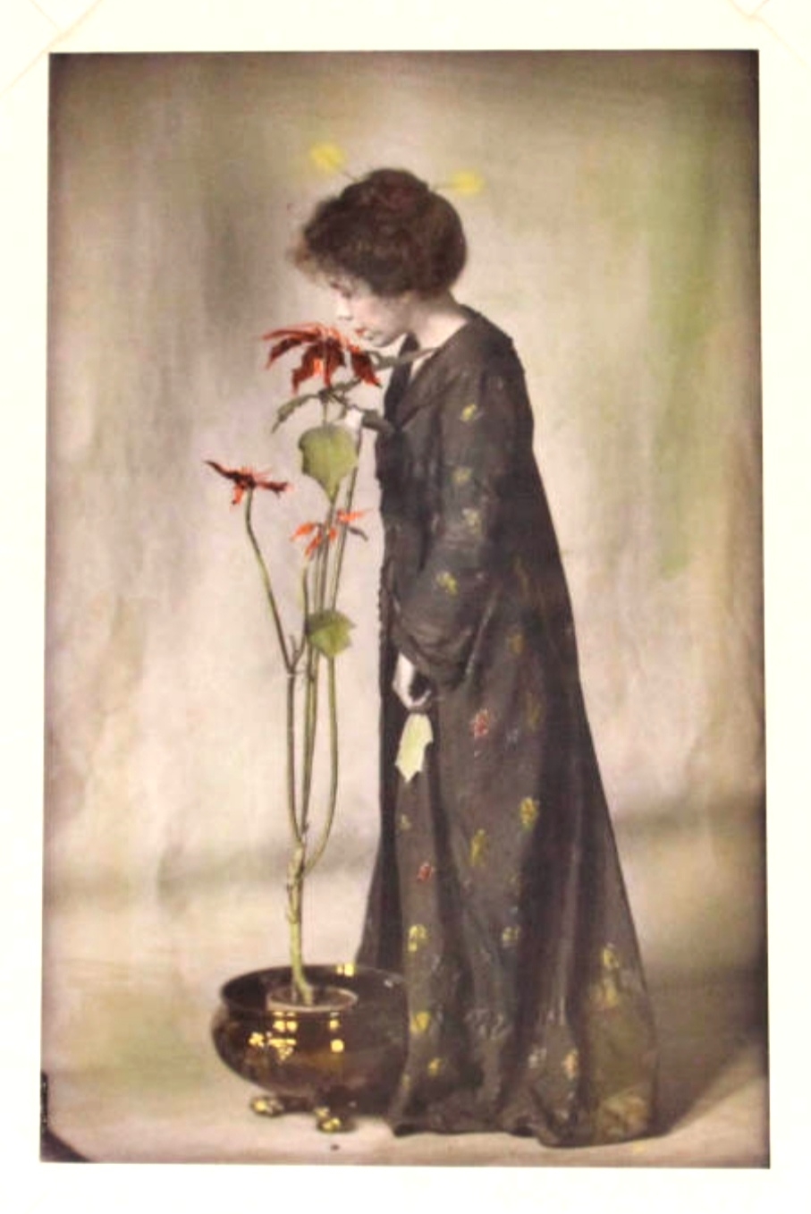 Jane Reece Batty Jane Reece | DantéBéa